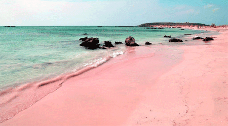 Pink Sand Beach, Bahamas