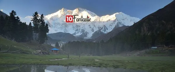 Fairy Meadows