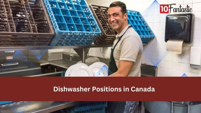 Dishwasher Positions in Canada