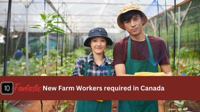 New Farm Workers required in Canada