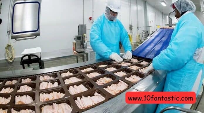 Food Packing Labor Required For Dubai