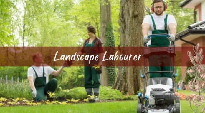 Landscape Labourer Vacancies in Canada