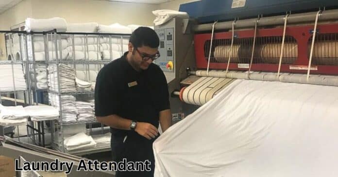 Laundry Attendant Required For Hotels in Dubai