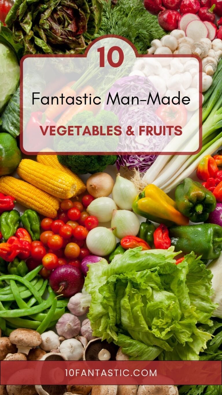 Top 10 Fantastic Man-Made Vegetables And Fruits