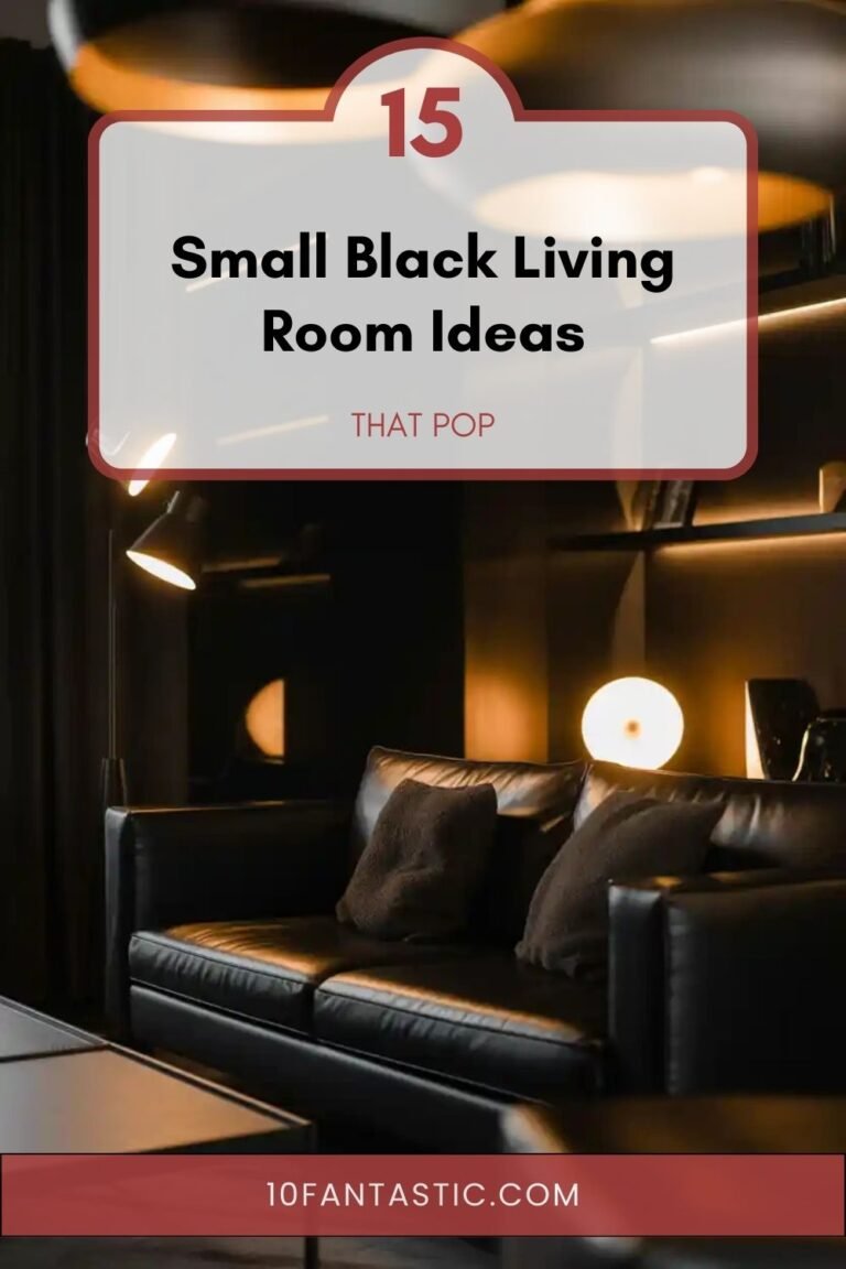 15 Small Black Living Room Ideas that Pop